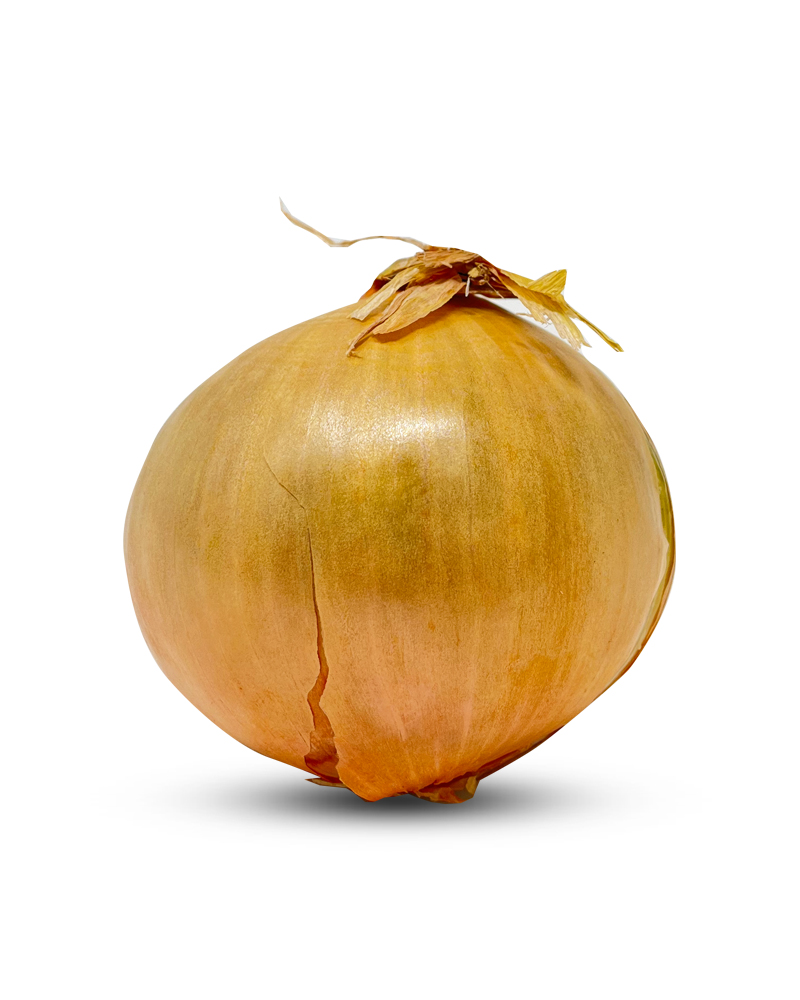 Large Onion Imported
