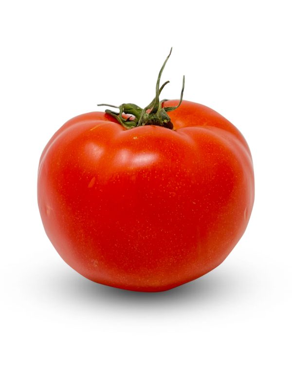 Tomatoes Extra