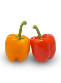 Coloured Peppers