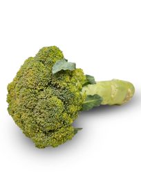 Broccoli CY