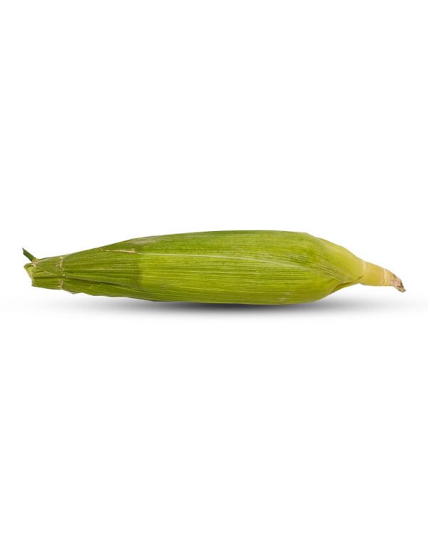 Corn CY