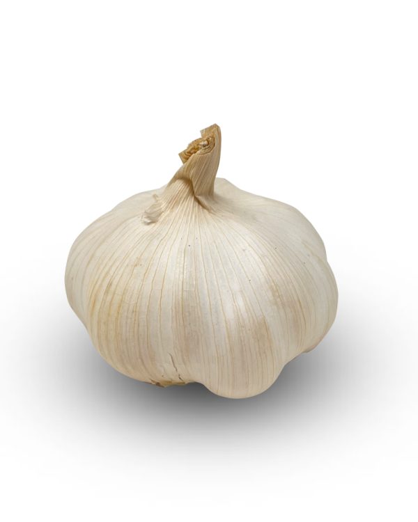 Garlic Imported
