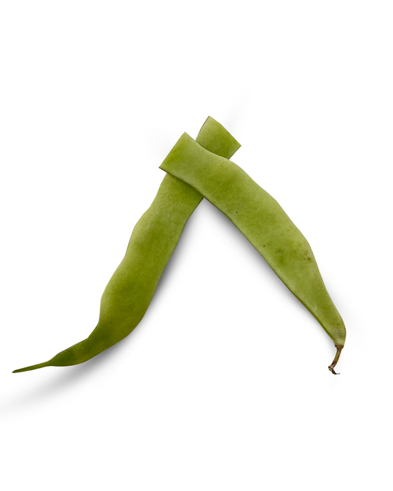 Flat Green Bean
