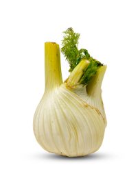 Fennel Imported