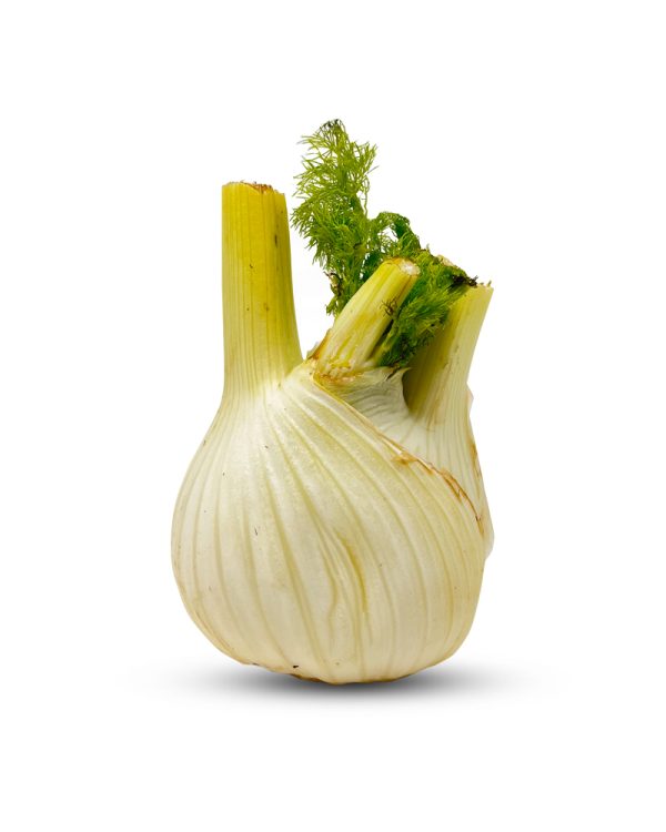 Fennel Imported