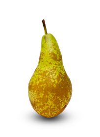 Conference Pears Imported