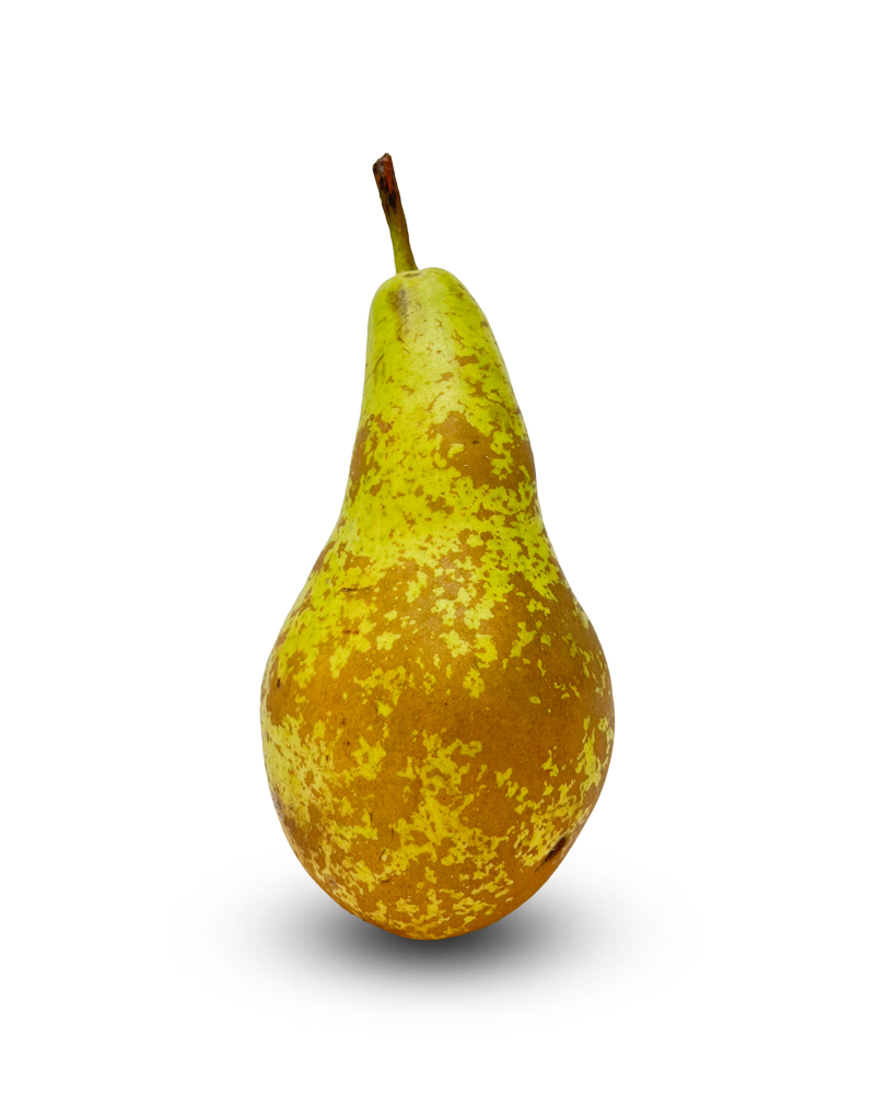 Conference Pears Imported