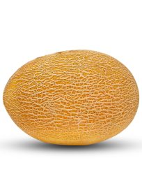 Ananas Melon CY