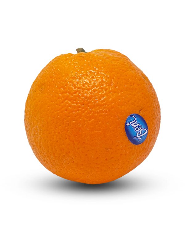 Orange Merlin Imported