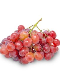 Crimson Grape Imported