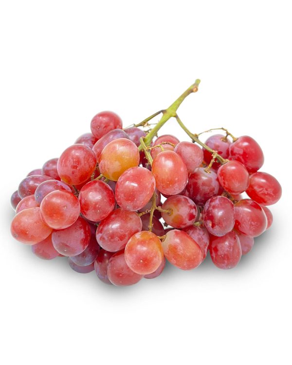 Crimson Grape Imported