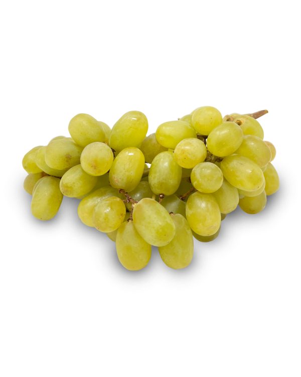 Thompson Grape Imported