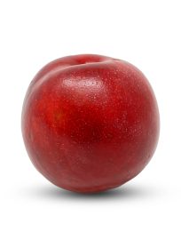 Plums Red Imported