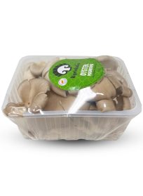 Oyster Mushrooms Pack Of 350gr
